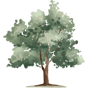 PL Tree PL Tree